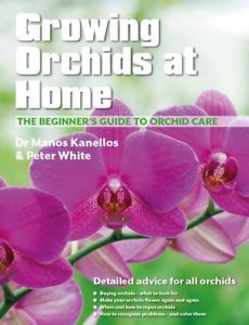 Growing Orchids at Home - The Beginners Guide to Orchid Care