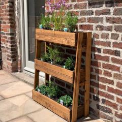Charles Taylor Country Kitchen 3 Tier Herb Garden Large