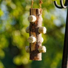 Henry Bell Insect Oil Log Feeder & 4 Suet Logs