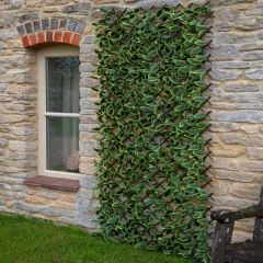 Smart Garden Hosta Leaf 180 x 60cm Trellis