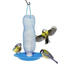Wild Bird Hydration Station