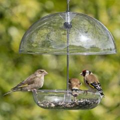 Jacobi Jayne I Love Robins® Feeder