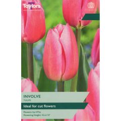 Taylors Bulbs Tulip Involve