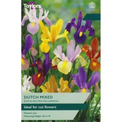 Taylors Bulbs Iris Dutch Mixed