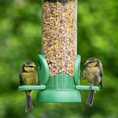 Jacobi Jayne Bird Lovers™ Bird Seed Feeder Small 2 Port 180mm Green