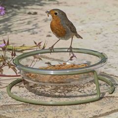 Jacobi Jayne I Love Robins® Easy-Clean Treat Dish Bird Feeder