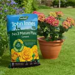 Westland John Innes No 3 Mature Plant Compost 10L Peat Free