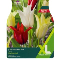 Taylors Bulbs Tulip Joie De Vivre Mix XL