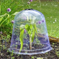 Jumbo Bell Cloche  - Smart Garden