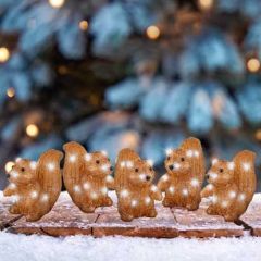 Kaemingk Acrylic Squirrel Set of 5 70 Cool White LED 13.5cm