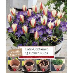 Kapiteyn Beautiful Gardens Patio Container Tulip & Crocus