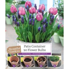 Kapiteyn Beautiful Gardens Patio Container Tulip & Muscari