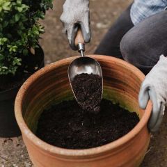 Kent & Stowe Stainless Steel Hand Potting Scoop