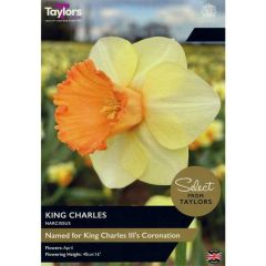 Taylors Bulbs Narcissus King Charles