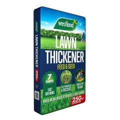 Westland Lawn Thickener Feed & Seed 250m2 Bag