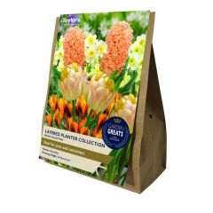 Taylors Bulbs Layered Planter Collection