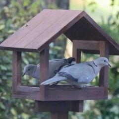 Henry Bell Lincoln Bird Table