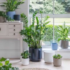 Ivyline Lisbon Planter French Navy D15cm
