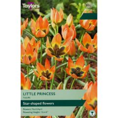 Taylors Bulbs Tulip Little Princess