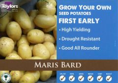 Potato Maris Bard 2Kg - Taylor's Bulbs