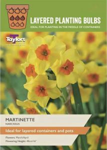 Taylors Bulbs Narcissi Martinette