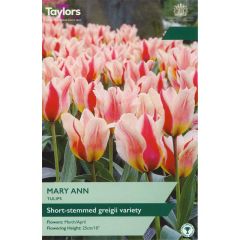 Taylors Bulbs Tulip Mary Ann