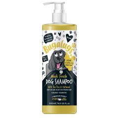 Bugalugs Medi Fresh Dog Shampoo 500ml Bottle with Pump