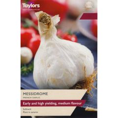 Taylors Bulbs French Garlic Messidrome