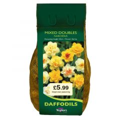 Narcissi Mixed Doubles Carri-Pack - Taylor's Bulbs