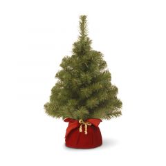 National Tree Noble Spruce Minature Tree in Red Bag 2ft