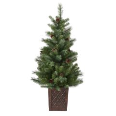 Bosk Hazlenut Pine Porch Tree - 4ft