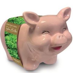 Novelty Pig Planter - Taylor's Bulbs