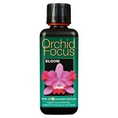 Orchid Focus Bloom - 300ml