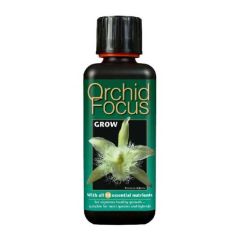 Orchid Focus Grow - 300ml