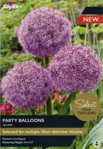 Taylors Bulbs Allium Party Balloons