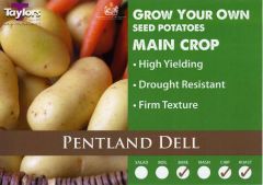 Potato Pentland Dell 2Kg - Taylor's Bulbs