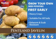Potato Pentland Javelin 2Kg - Taylor's Bulbs