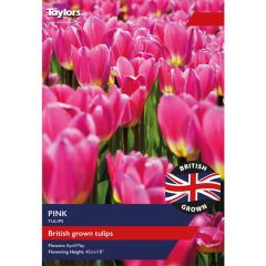 Taylors Bulbs British Grown Pink Tulips