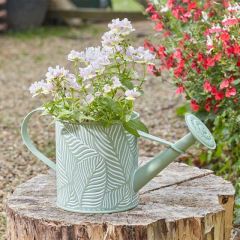 Smart Garden PlanterCan - Fern - Sage