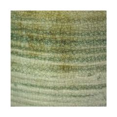 Ivyline Pot Como Mint - D15 H14