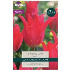 Tulip Pretty Love  - Taylor's Bulbs