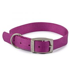 Ancol Viva Dog Collar Purple - Size 4 (35-43cm)