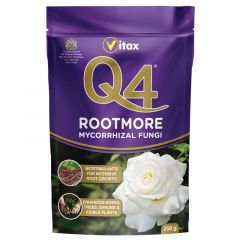Q4 Rootmore - 250g