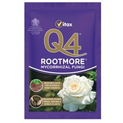 Q4 Rootmore - 60g