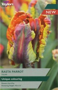 Taylors Bulbs Tulip Rasta Parrot