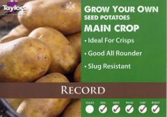 Potato Record 2Kg - Taylor's Bulbs