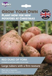 Taylors Bulbs Potato Red Duke of York