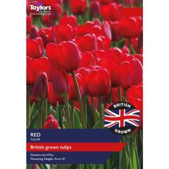Taylors Bulbs British Grown Red Tulips