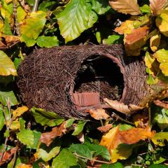 Wildlife World Brushwood Robin Nester