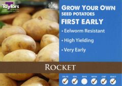 Potato Rocket 2Kg - Taylor's Bulbs